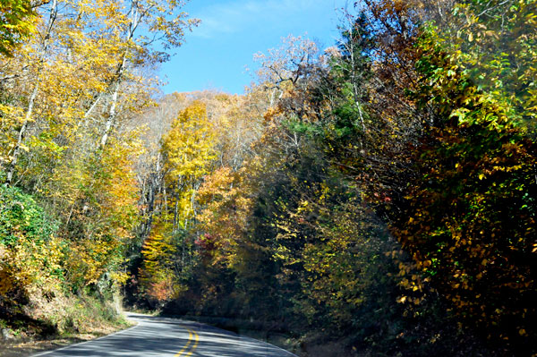 fall colors on the way to Grandfather Mountain